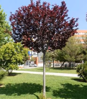 53878e8299cd61eb4e9b38ffc93be165