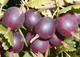 53a8b2ce8df2d52054228083b85720ae