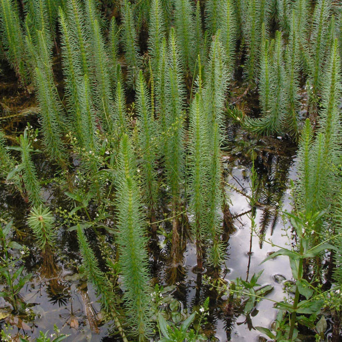 53b925ae3a364c4218c05b7603afcdc9