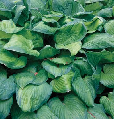 53c7f5274295985c8cecf15cb8de1345