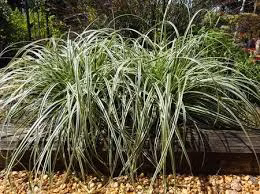 5400c87f899df33ae3c8892058a229d8