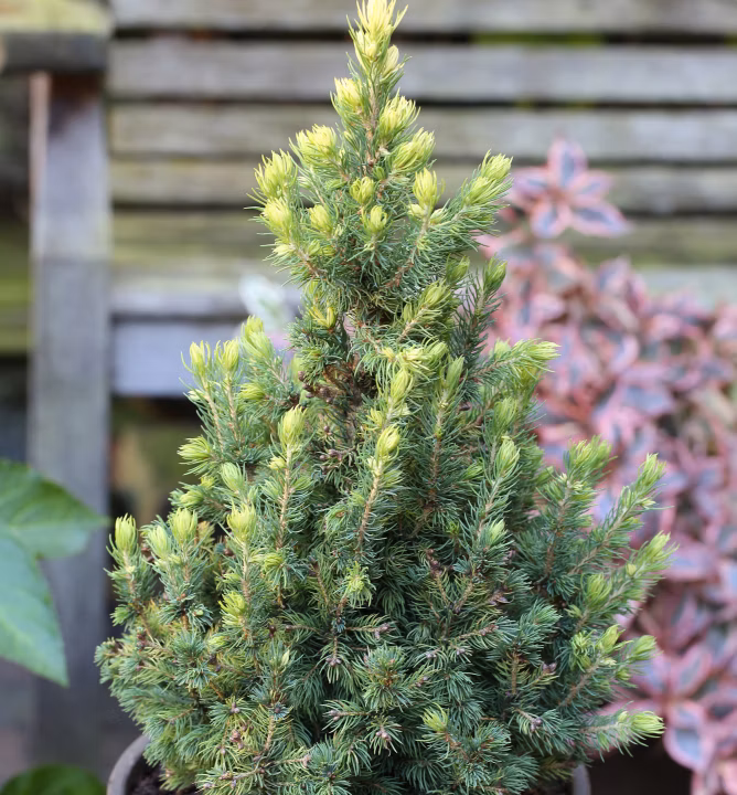 540965ecf7868ddc01035063e9f4d23d