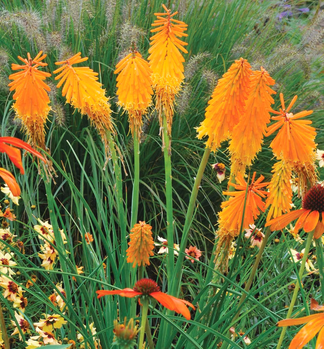 54265ff25008695e76436703865935dc