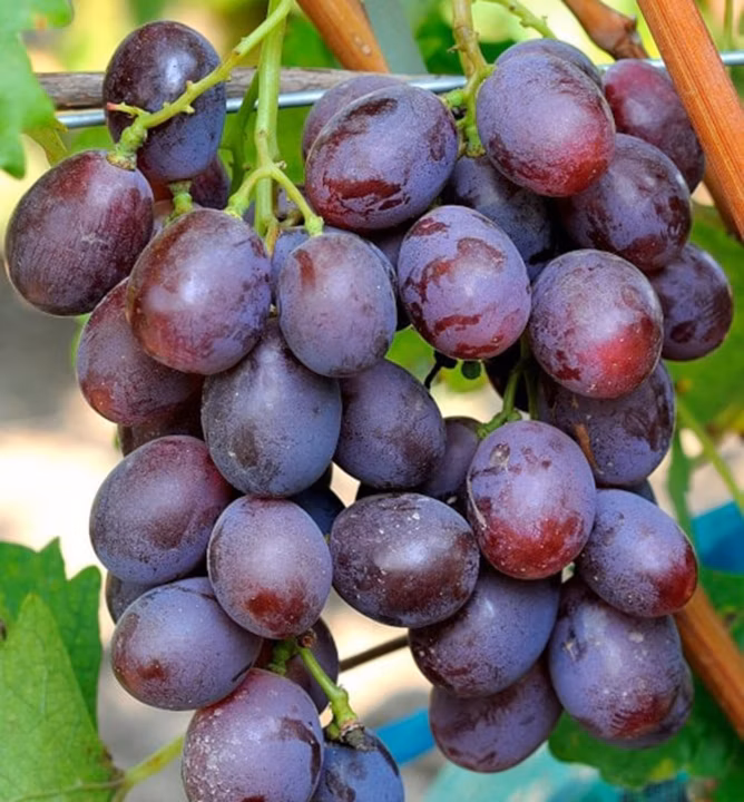 5428a7d6ba657d3c07157f77e7a78bf3