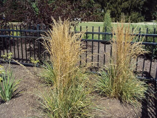 5431235121956739cd81de1e2eaf4cc3