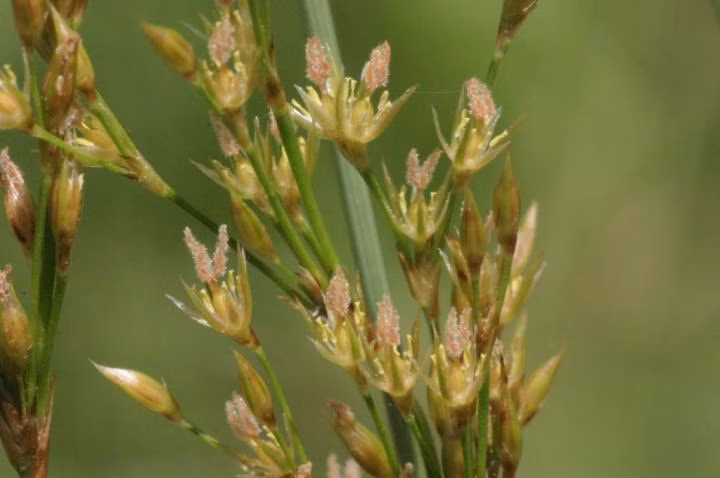 54338c846697458ce7affce776585f53