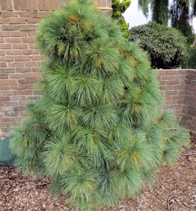 5438aa29865742ee9b510e281988b8e1