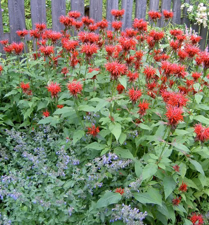 545bf25df941ca2db87b021996e4a6ea