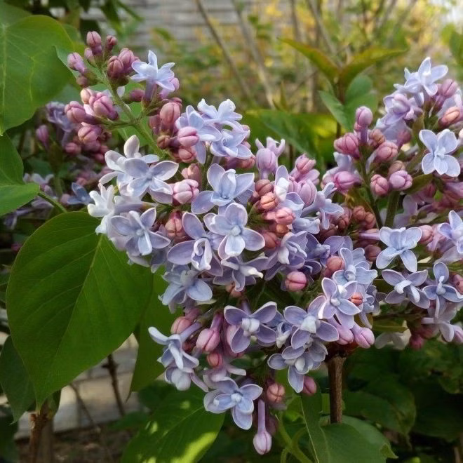 54675eda0d6640249cf177e907fc9a26