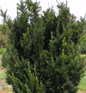 5468bcb6a029ea2b083dcc9b75aca077