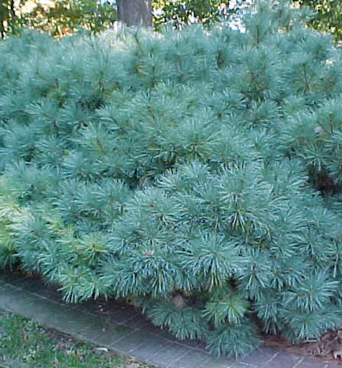 548cc8a76d6f2e36c33207139c527d17