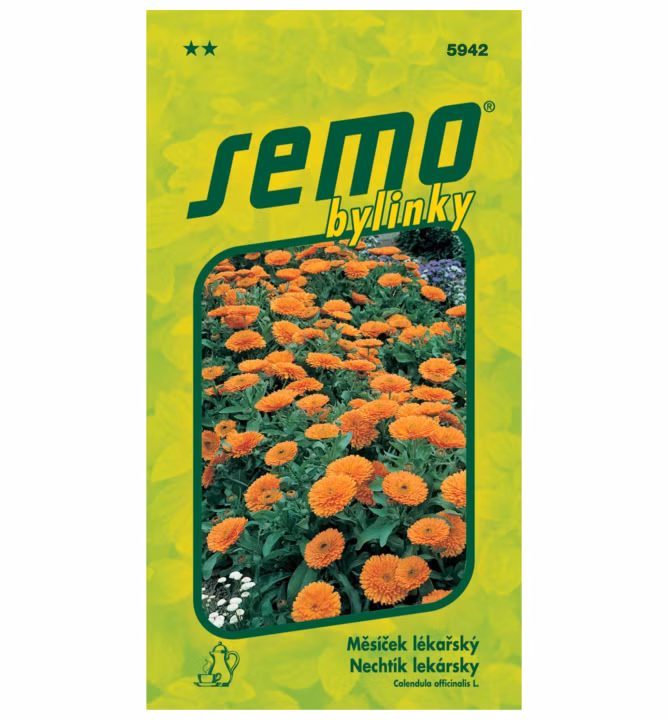 54930fe6d51c46848967ce22158455a9