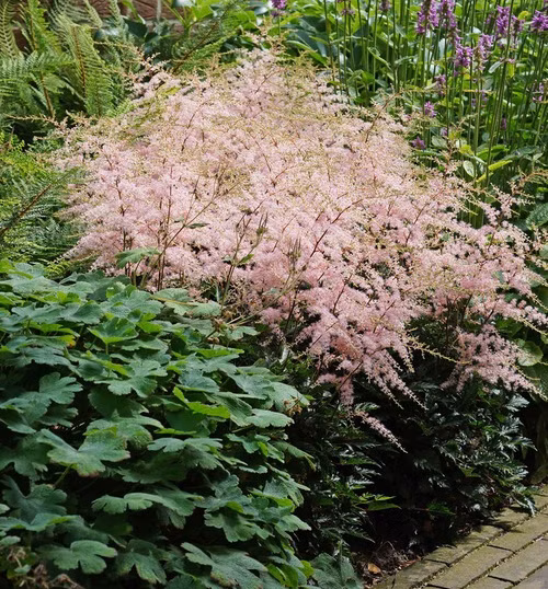 54c7c11e7bd5b06c4d9e60289b1b925d