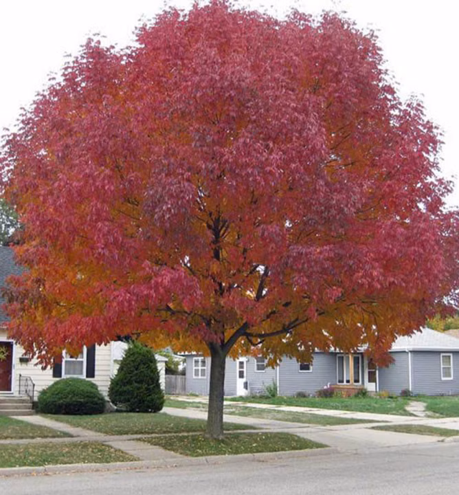 5539ff280a5e7fd7f15cfe9b498baa9b