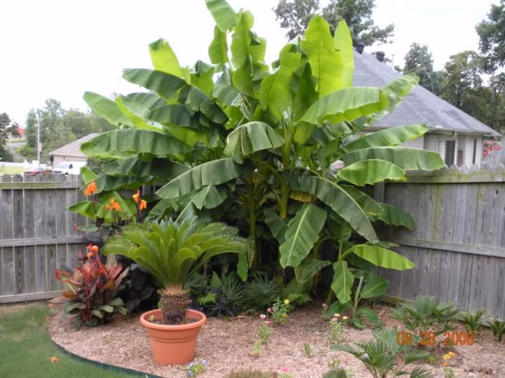 553ba722a8bbd60ff5b530dfadf3645d