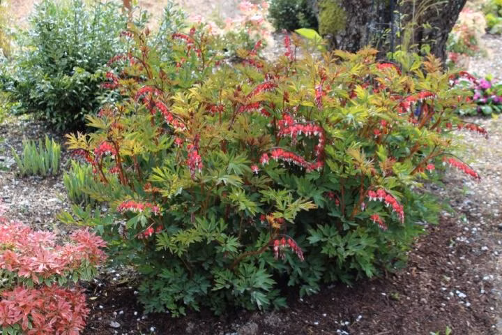 554f01aee7251f92c594567000103ef6