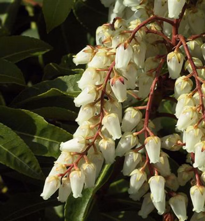 55690921964462bbdd6d1ab4513ac5c3