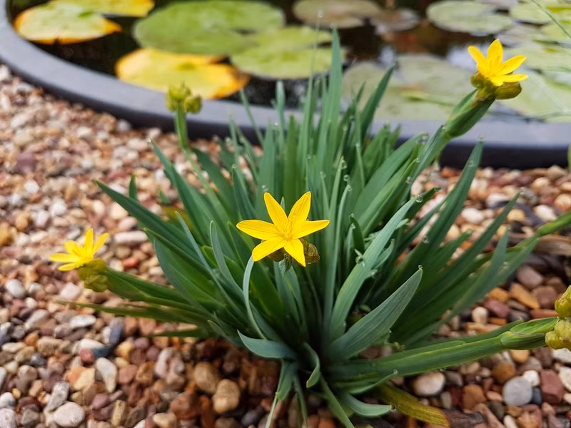 55950edaf676056b90b07847dbcb1209