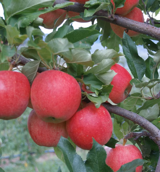 55be974dbd305e297c7dbe4329007d76