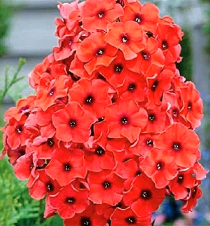 55e34b2a01fa9971b4d050b9028f72a3