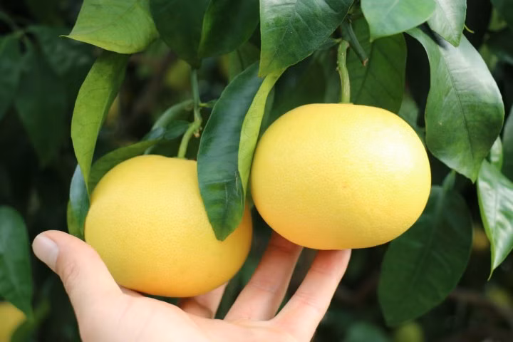 55e69055dc19c31a98d89c6b85dfb1fb