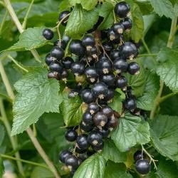 55ebe62e11d074b7f3466fe074a24846