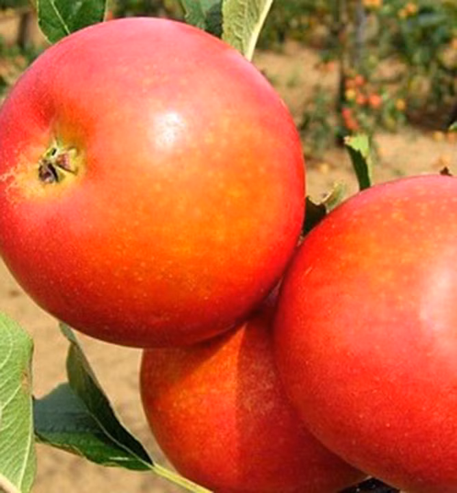 56147f77c0c8a28c340f82c45238c64e