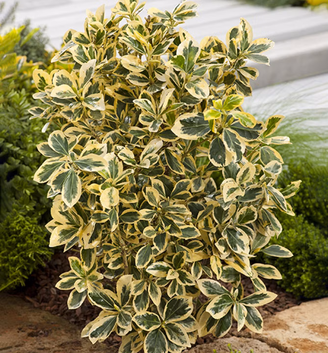 562a78f3abb7b27a5ff73119d33d86a8