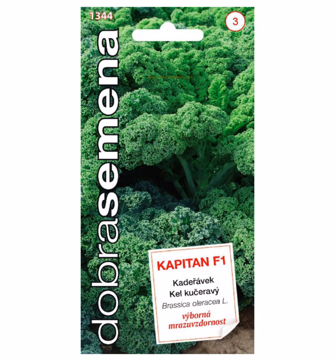 564aee1ff7022a124594d7b8e7bb53a1