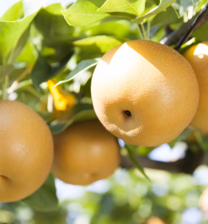 566c4431f0ec52fc151d3e9583c78245