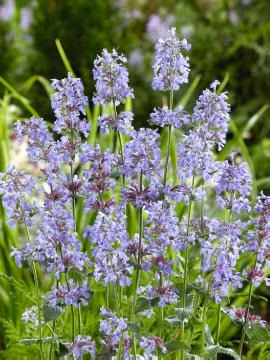 567020fdee6068244d92f36094ae1e92