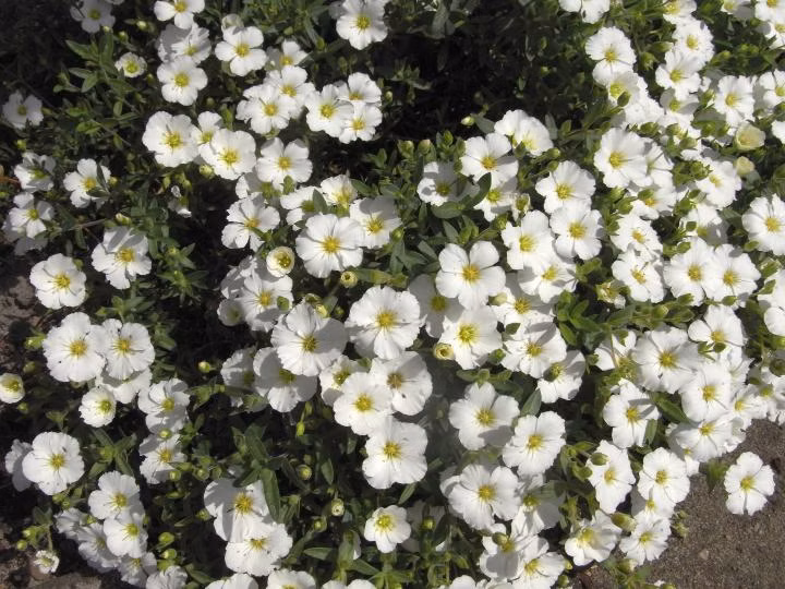 567148d2f1bee7825936894057a0f8e1