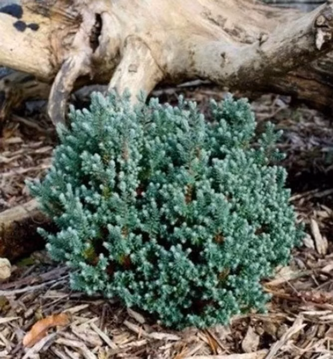 56a40553489ec935a5630bc59c98b1a3