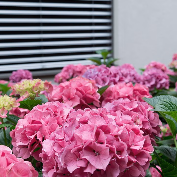 5726183a8d722e41ef7d5c166bccf51c