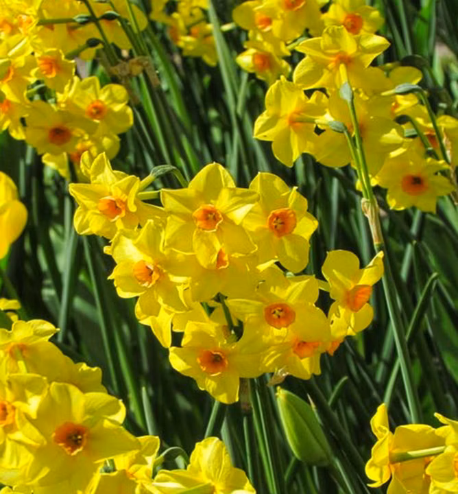 5726493fb885cf239bb4ac194532597c