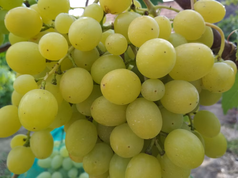 5728fd1feca2f4fa6713b1e3ce50b9df