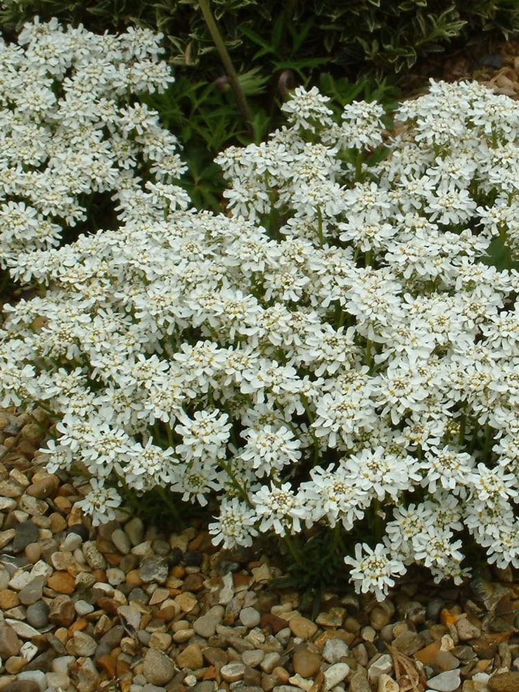 5740eccb61fdac5fce94b358c2f5e3e2