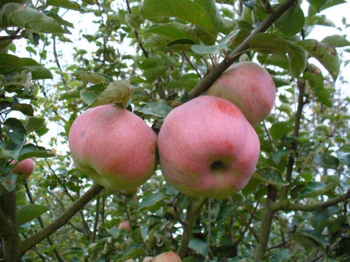 575ad3c399e68ca054c89a1464d43624