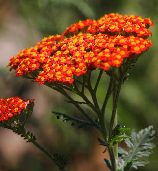 5768ffe5e6fd640c04354cda0a1e9a97