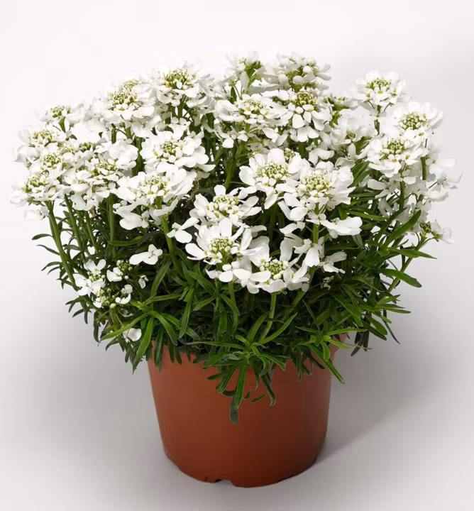 576c55c1d8fbccb0a644fc41be91c2ee