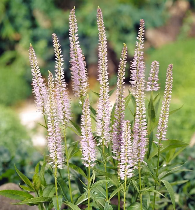 576faabd4b5e6a6adc14efef0de04e95