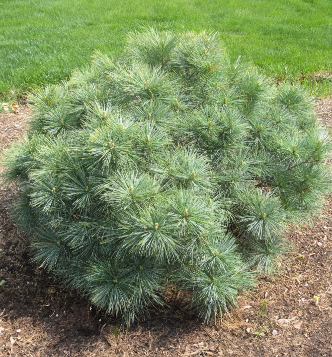 579eb5df42a1506ec2aebdf1d72dd294