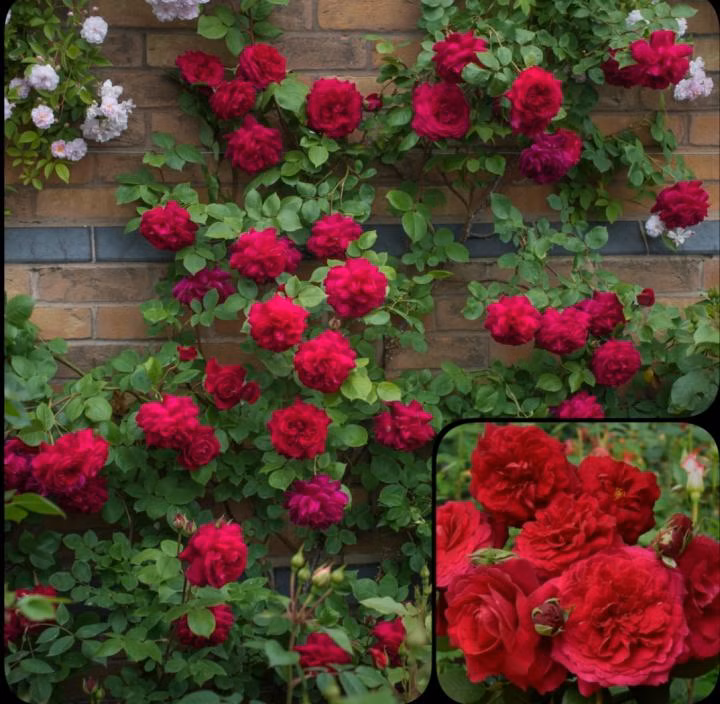 57a913ea083152a44980766d01bb2422