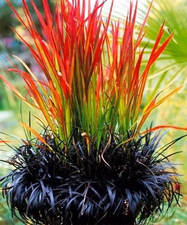 57b164f03eb85e8cbcb423a928a764a3