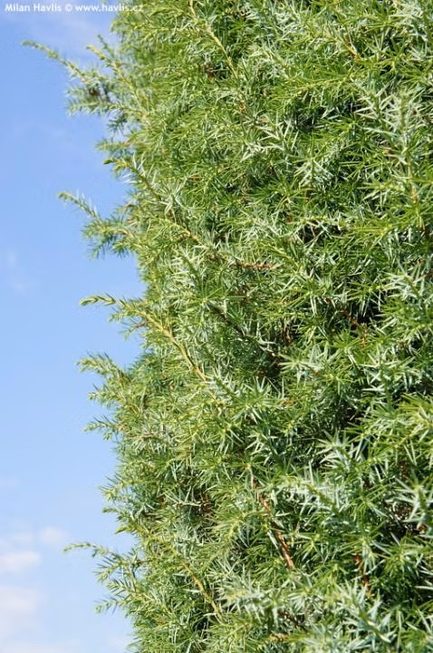 57b1a383e8d8a034fc82d2ff3f17d000