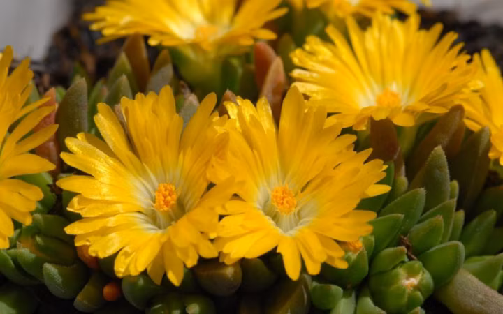 57b95de26c8ca4e850f4973caad7c207