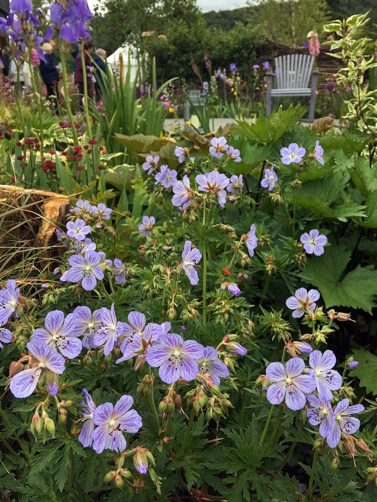 57ca4323c82e3565e83794568d93190e