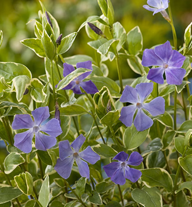 582a7f4eb05a88c3ba3134577a679b73