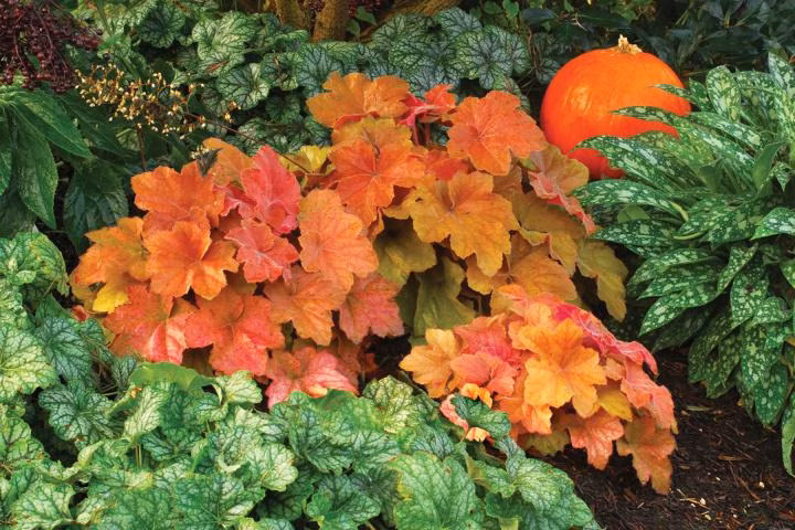 5834f2294d7eff3ad419535eddca4b0e