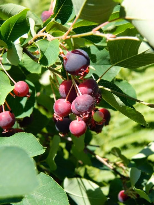 585cbd837530aa22382bea5a4d9e68c0